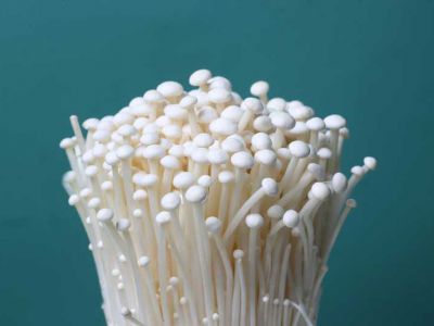 裕禾菌業產品：金針菇